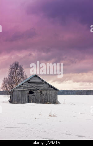 Le soleil commence à définir sur le champs d'hiver du nord de la Finlande. Ce n'est qu'en début d'après-midi, mais les journées sont courtes dans le Nord. Banque D'Images