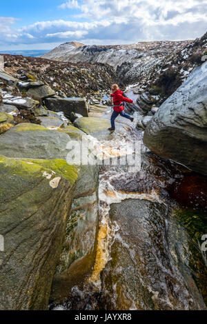 Une femelle walker traversant un ruisseau en hiver en haut de Grindsbrook sur la bordure sud de Kinder Scout, parc national de Peak District Banque D'Images