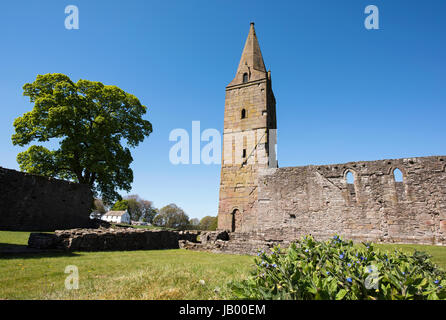 Abbaye de Restenneth près de Forfar, Angus, Scotland. Il est soupçonné d'avoir été fondée par Nechtan, roi des Pictes sur AD 715. Banque D'Images