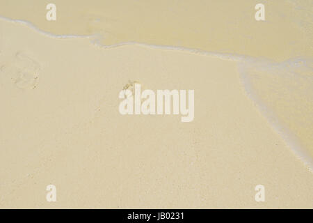 Traces sur la magnifique plage de sable blanc de vacances d'été Banque D'Images