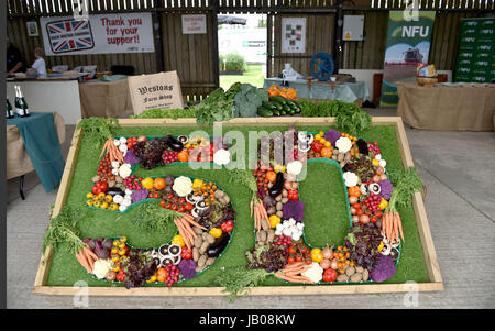 Ardingly Sussex, UK. 8 juin, 2017. 50e anniversaire de l'affichage à légumes du sud de l'Angleterre, qui ont eu lieu à l'Ardingly Showground à Sussex . La Société d'agriculture du sud de l'Angleterre célèbre son 50e anniversaire cette année présentant le meilleur de l'agriculture, l'horticulture et la campagne dans le sud de l'Angleterre. Crédit : Simon Dack/Alamy Live News Banque D'Images