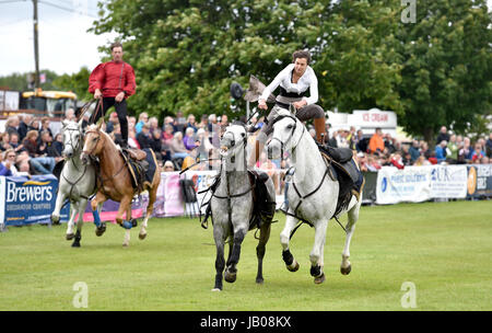 Ardingly Sussex, UK. 8 juin, 2017. L'équipe de cavaliers du diable dans l'action au sud de l'Angleterre, qui ont eu lieu à l'ArdinglyShowground dans le Kent . La Société d'agriculture du sud de l'Angleterre célèbre son 50e anniversaire cette année présentant le meilleur de l'agriculture, l'horticulture et la campagne dans le sud de l'Angleterre. Crédit : Simon Dack/Alamy Live News Banque D'Images