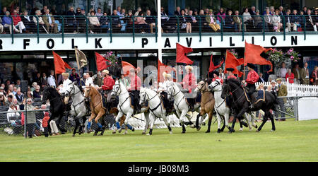 Ardingly Sussex, UK. 8 juin, 2017. L'équipe de cavaliers du diable dans l'action au sud de l'Angleterre, qui ont eu lieu à l'ArdinglyShowground dans le Kent . La Société d'agriculture du sud de l'Angleterre célèbre son 50e anniversaire cette année présentant le meilleur de l'agriculture, l'horticulture et la campagne dans le sud de l'Angleterre. Crédit : Simon Dack/Alamy Live News Banque D'Images