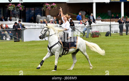 Ardingly Sussex, UK. 8 juin, 2017. L'équipe de cavaliers du diable dans l'action au sud de l'Angleterre, qui ont eu lieu à l'ArdinglyShowground dans le Kent . La Société d'agriculture du sud de l'Angleterre célèbre son 50e anniversaire cette année présentant le meilleur de l'agriculture, l'horticulture et la campagne dans le sud de l'Angleterre. Crédit : Simon Dack/Alamy Live News Banque D'Images