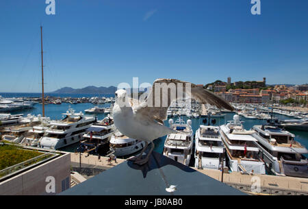 Cannes, France - 07 juin 2017 : Midem, le B2B International du marché de la musique dans le monde entier d'utilisation | Banque D'Images