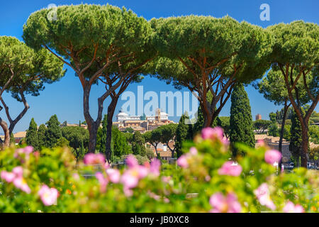 Rose Garden Rome, Italie Banque D'Images