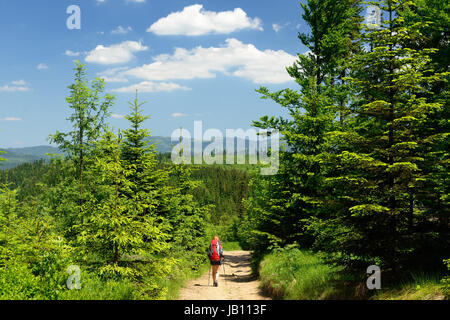 Randonnées le long des sentiers touristiques dans les montagnes Beskid en Pologne avec le sac à dos sur l'arrière Banque D'Images