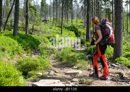 Randonnées le long des sentiers touristiques dans les montagnes Beskid en Pologne avec le sac à dos sur l'arrière Banque D'Images