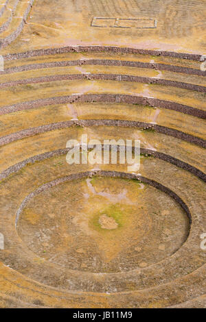 Moray, ruines Incas dans les Andes péruviennes à Cuzco au Pérou Banque D'Images