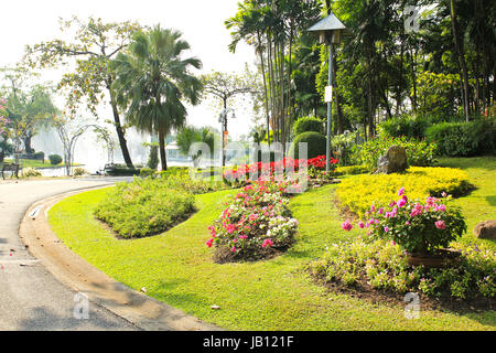 Beau jardin Banque D'Images