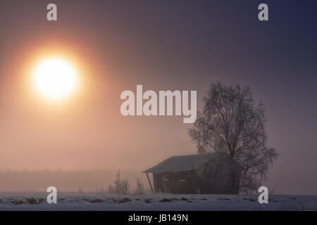 L'hiver le soleil se lève sur le champs de neige du nord de la Finlande. Il est très froid et la brume du matin couvre la vieille grange chambre. Banque D'Images