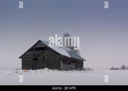 Une vieille grange chambre sur le champs de neige du nord de la Finlande est debout contre le ciel nuageux. Les nuages et la brume sont couvrant tout sur le f Banque D'Images