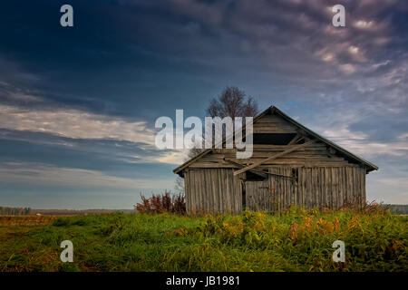 Une vieille grange chambre demeure seul sur le champs d'automne du nord de la Finlande. Le ciel est plus sombre que l'approche de l'hiver. Banque D'Images