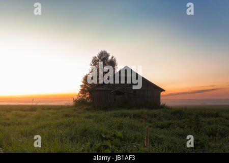 La brume s'élève du champs de la Finlande du nord sur une nuit d'été et couvre progressivement l'ancienne grange abrite. Banque D'Images