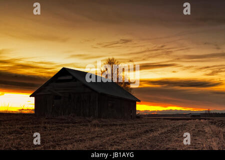 Une vieille grange solitaire maison se trouve sur le champs le printemps du Nord de la Finlande. Le soleil se couche joliment derrière elle. Banque D'Images