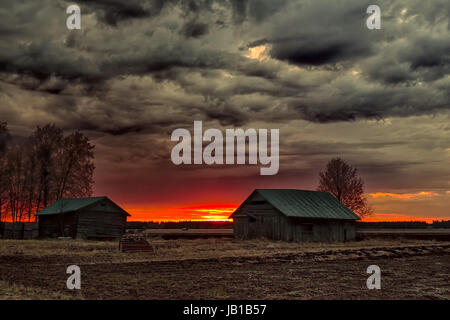 Le soleil se couche tard dans la nuits de printemps et de couleurs les étables et les champs magnifiquement. L'été est presque ici dans le Nord de la Finlande. Banque D'Images