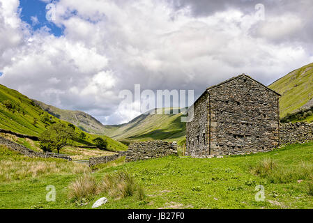 Ancienne grange en pierre en hagg ghyll près de Windermere dans le lake district national park Banque D'Images