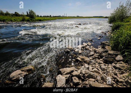 Lippe, renaturalized paysage de prairie à proximité de l'estuaire de la rivière dans le Rhin, Wesel, Bas-rhin, Rhénanie du Nord-Westphalie, Allemagne, Europe, Euskirchen, renat Banque D'Images