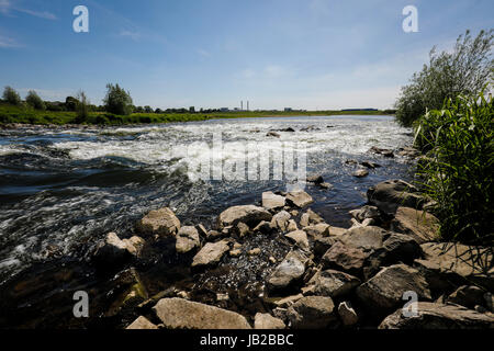 Lippe, renaturalized paysage de prairie à proximité de l'estuaire de la rivière dans le Rhin, Wesel, Bas-rhin, Rhénanie du Nord-Westphalie, Allemagne, Europe, Euskirchen, renat Banque D'Images