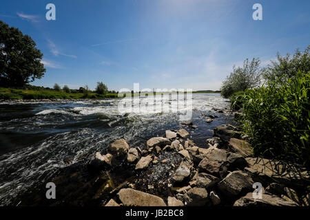 Lippe, renaturalized paysage de prairie à proximité de l'estuaire de la rivière dans le Rhin, Wesel, Bas-rhin, Rhénanie du Nord-Westphalie, Allemagne, Europe, Euskirchen, renat Banque D'Images