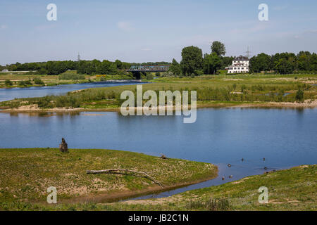 Lippe, renaturalized paysage de prairie à proximité de l'estuaire de la rivière dans le Rhin, Wesel, Bas-rhin, Rhénanie du Nord-Westphalie, Allemagne, Europe, Euskirchen, renat Banque D'Images