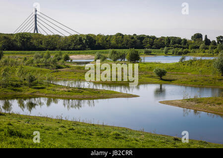 Lippe, renaturalized paysage de prairie à proximité de l'estuaire de la rivière dans le Rhin, Wesel, Bas-rhin, Rhénanie du Nord-Westphalie, Allemagne, Europe, Euskirchen, renat Banque D'Images