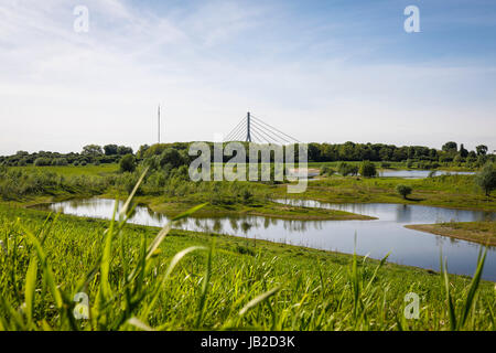 Lippe, renaturalized paysage de prairie à proximité de l'estuaire de la rivière dans le Rhin, Wesel, Bas-rhin, Rhénanie du Nord-Westphalie, Allemagne, Europe, Euskirchen, renat Banque D'Images