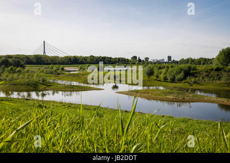 Lippe, renaturalized paysage de prairie à proximité de l'estuaire de la rivière dans le Rhin, Wesel, Bas-rhin, Rhénanie du Nord-Westphalie, Allemagne, Europe, Euskirchen, renat Banque D'Images