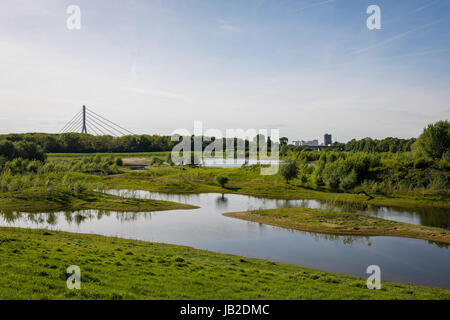 Lippe, renaturalized paysage de prairie à proximité de l'estuaire de la rivière dans le Rhin, Wesel, Bas-rhin, Rhénanie du Nord-Westphalie, Allemagne, Europe, Euskirchen, renat Banque D'Images