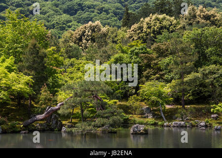 La croissance de la nature autour de Tenryu-ji dans de Arashiyama, Kyoto, Japon. Banque D'Images