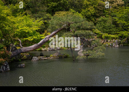 La croissance de la nature autour de Tenryu-ji dans de Arashiyama, Kyoto, Japon. Banque D'Images