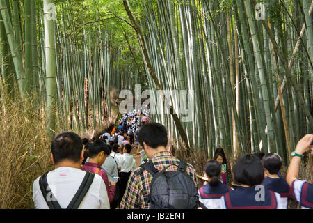 Les touristes en forêt de bambous à Arashiyama, Kyoto, Japon. Banque D'Images