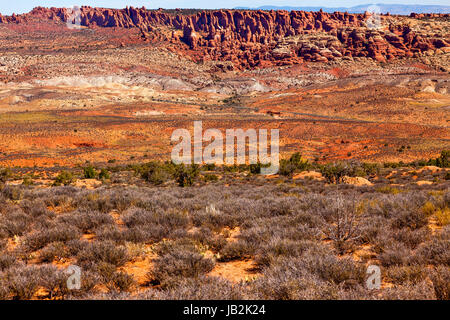 Painted Desert Yellow Grass coloré Orange Rouge Grès Terres fournaise ardente Arches National Park Moab Utah USA Sud-ouest. Banque D'Images