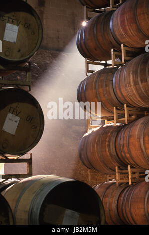 CAVE DE VINIFICATION DE FÛT DE Californie puits de lumière du soleil sur la cave de fût de chêne de la cave de fetzer Valley Oaks, Hopland, comté de Mendocino, Californie, États-Unis Banque D'Images