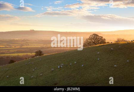 Le soleil se lever un paysage près de Cotswold Ilmington, Warwickshire, en Angleterre. Banque D'Images