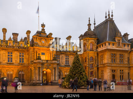 Waddesdon Manor NT lumière d'hiver 2014 festival. Sculptures lumineuses sont par Bruce Munro. Novembre 2014 Banque D'Images