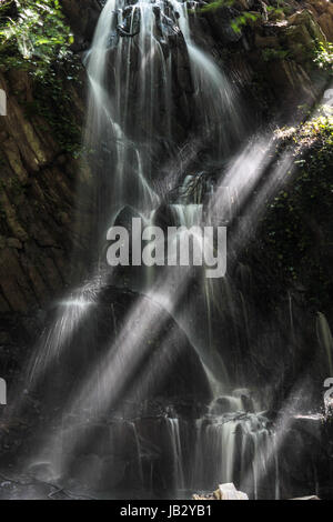 Mit Wasserfall in den Sonnenstrahlen Kells Bay Gardens, bei Cahersiveen, comté de Kerry, Irlande Banque D'Images