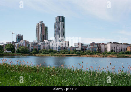 Woodberry Wetlands réserve naturelle, près de Stoke Newington, au nord de Londres, au Royaume-Uni avec de nouveaux appartements en arrière-plan Banque D'Images