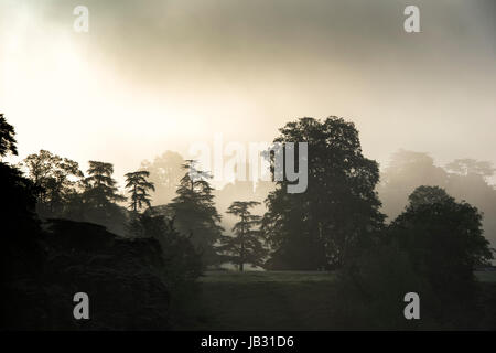 Église de Woodstock dans la distance entre les arbres sur un début de matin brumeux. L'Oxfordshire, Angleterre. Silhouette Banque D'Images