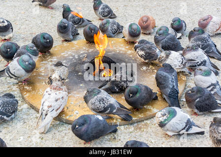 Les pigeons en essayant de garder au chaud par une flamme éternelle dans un rude hiver Chicago Banque D'Images