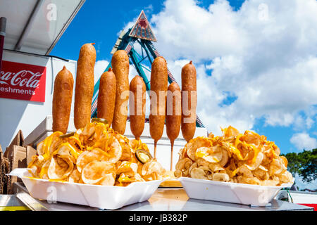 Miami Florida, Tamiami Park, Miami-Dade County Youth Fair & exposition, nourriture de carnaval, chien de maïs, frites, plat frit, FL170331010 Banque D'Images