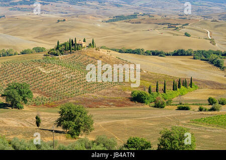 Podere im Herbst - Podere à l'automne 19 Banque D'Images