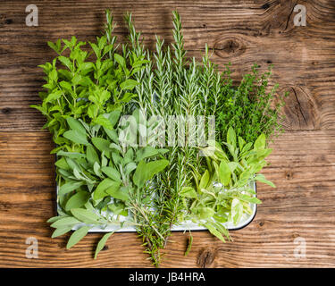 Le bac d'herbes fraîchement cueilli du jardin Banque D'Images