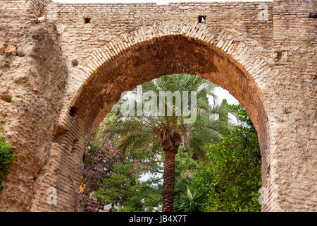 Old Stone Arch Palm Jardin d'Orangers Alcazar Royal Palace Seville andalousie espagne. À l'origine un fort mauresque, Palais Royal le plus ancien encore en usage en Europe. Construit dans les 1100s et reconstruit dans les années 1300. Banque D'Images