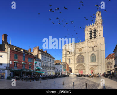 La France, l'Yonne (89), Sens, la place de la République et la cathédrale Saint-Etienne // France, Yonne, Sens, Place de la République et de la Cathédrale Saint Etienne Banque D'Images