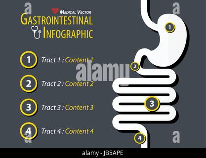 Infographie gastro-intestinales . Modèle plat . Illustration de Vecteur