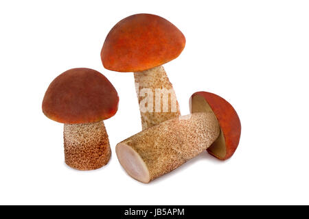 Beaux champignons, champignons d'aspen avec bonnets rouges. Présenté sur un fond blanc. Banque D'Images