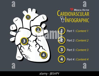 Infographie cardiovasculaire . Modèle plat . Illustration de Vecteur