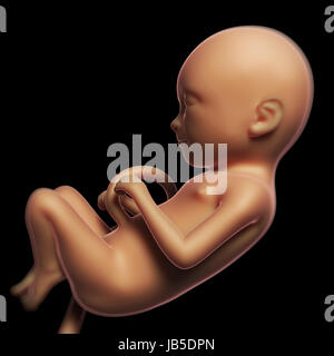 Rendu 3d illustration d'un foetus humain Banque D'Images