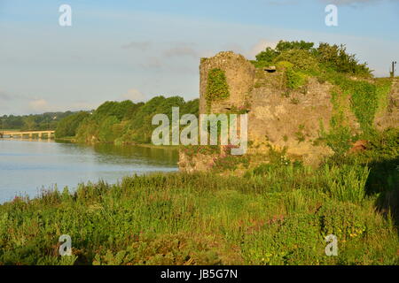 Un château en Irlande dans le comté de Kilkenny, située sur la rivière Suir.. Banque D'Images